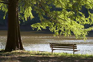Duluth Property Managers Duluth Property Managers