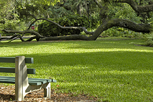 Dunwoody Property Managers Dunwoody Property Managers